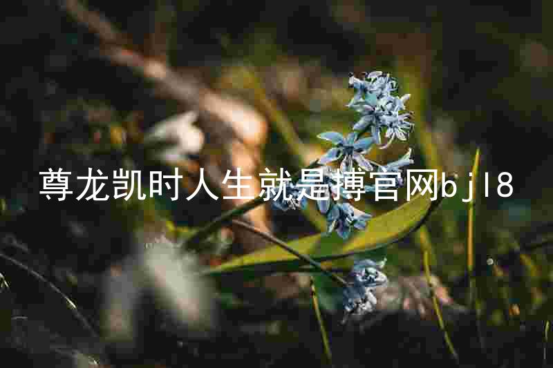 尊龙凯时人生就是搏官网bjl8