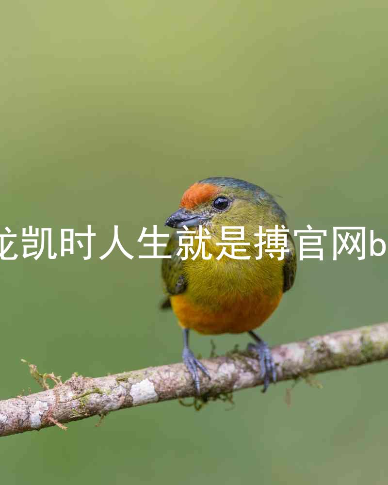 尊龙凯时人生就是搏官网bjl8