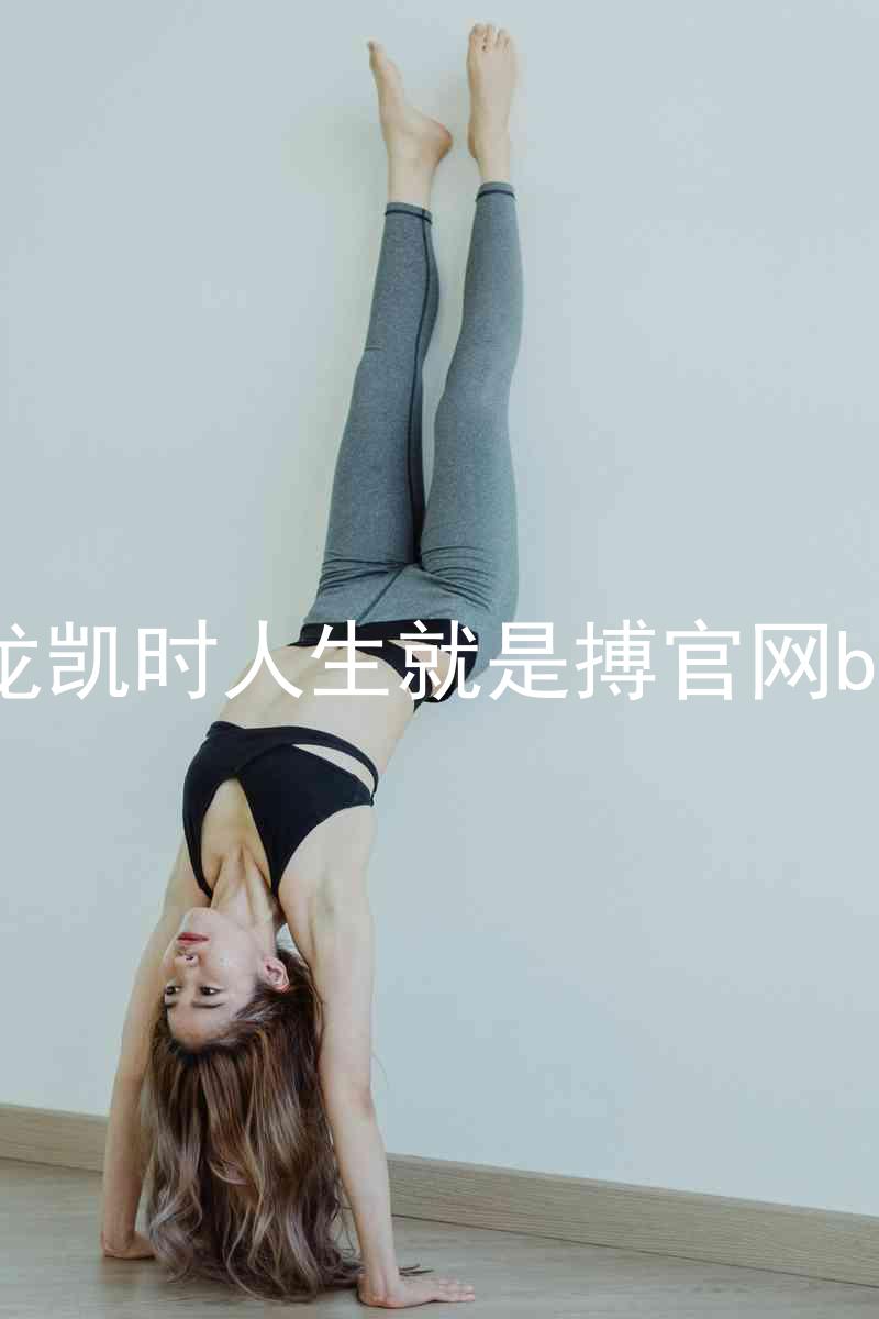 尊龙凯时人生就是搏官网bjl8