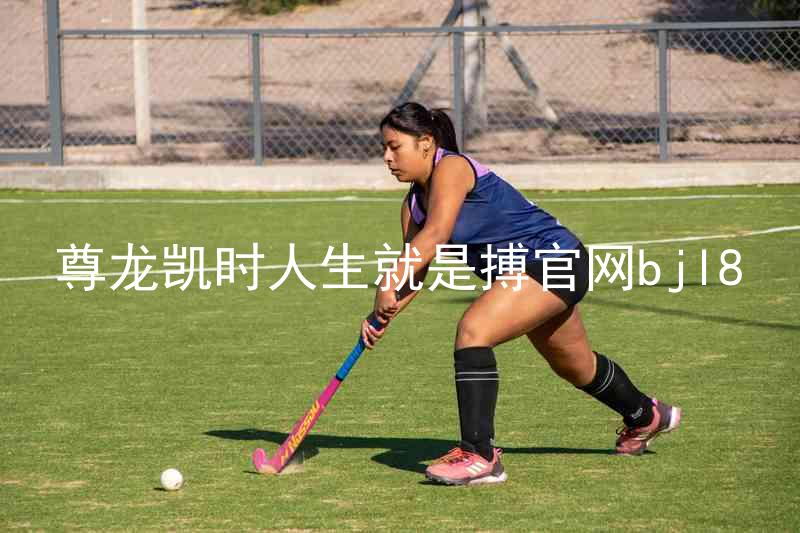 尊龙凯时人生就是搏官网bjl8