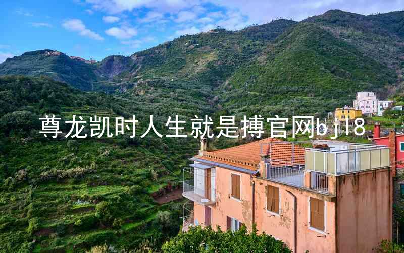 尊龙凯时人生就是搏官网bjl8