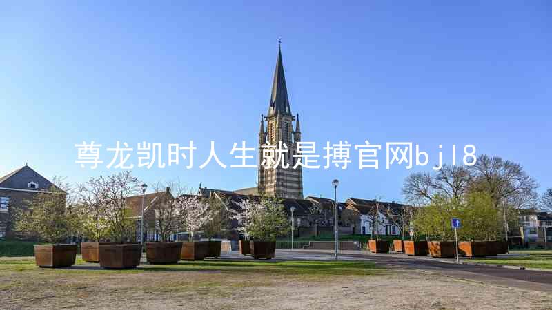 尊龙凯时人生就是搏官网bjl8
